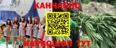 крисы Чебаркуль