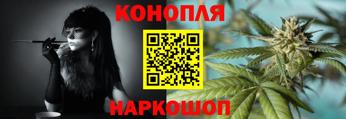 Бошки Шишки планчик Кунгур